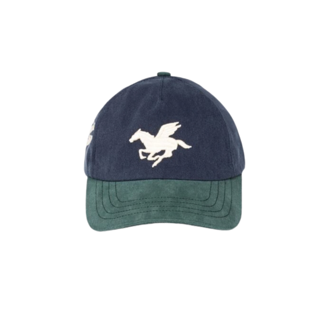Casquette 3D Pegasus