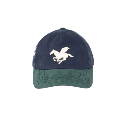 Casquette 3D Pegasus